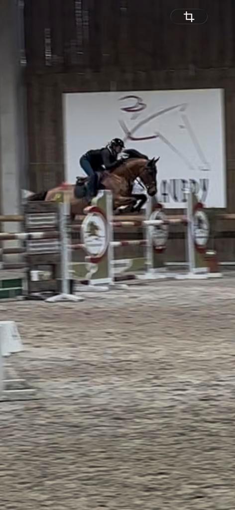 Gouden leermeester te koop, Immo, Appartementen en Studio's te huur