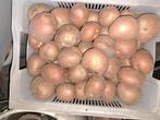 Nieuwe aardappelen (laatste prijsdalig), Ophalen