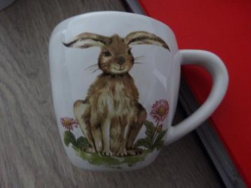 mok pasen beschikbaar voor biedingen