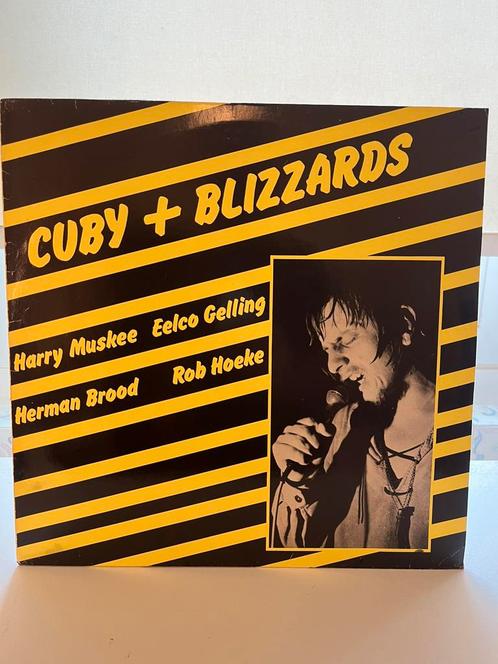 LP lot Nederblues-Rock (11 lps), Cd's en Dvd's, Vinyl | Rock, Gebruikt, Ophalen of Verzenden