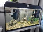 Aquarium 60l et accessoires, Enlèvement, Utilisé, Aquarium vide