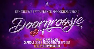 2 tickets Doornroosje 19/04 Hasselt, Tickets en Kaartjes, Twee personen