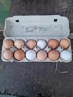 12 eieren van loslopende kippen 2,50 euro voor 12 eieren, Dieren en Toebehoren, Ophalen of Verzenden