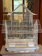Magnifique Cage oiseau pour perruche, Gebruikt
