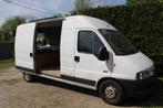 Peugeot boxer camper 120 000 km, Autres marques, Diesel, Particulier, Modèle Bus