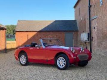 Replica neus van Austin Healey Frogeye  beschikbaar voor biedingen
