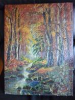 Schilderij Stokbroekx Herfstlandschap met bergrivier, Antiek en Kunst, Kunst | Schilderijen | Klassiek, Ophalen of Verzenden