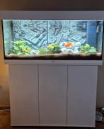 Aquarium Juwel 180l, Dieren en Toebehoren, Vissen | Aquaria en Toebehoren, Ophalen