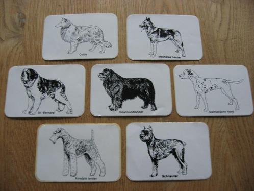 Oude Stickers Verschillende Honden Rassen, Verzamelen, Stickers, Nieuw, Dier en Natuur, Ophalen of Verzenden