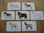 Oude Stickers Verschillende Honden Rassen, Nieuw, Ophalen of Verzenden, Dier en Natuur