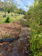 A votre service de jardinage, Ophalen of Verzenden