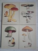 4 doeken met prints van paddestoelen, Maison & Meubles, Accessoires pour la Maison | Cadres, Enlèvement ou Envoi