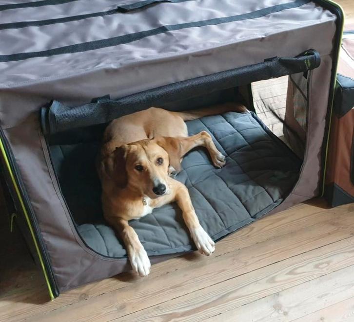 Opvouwbare honden Bench XL Incl kussen, Dieren en Toebehoren, Hondenhokken, Gebruikt, Hondenhok, 65 tot 100 cm, 75 tot 110 cm