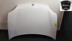MOTORKAP Renault Kangoo Express (FC) (|7751468946|), Auto-onderdelen, Gebruikt, Renault, Motorkap