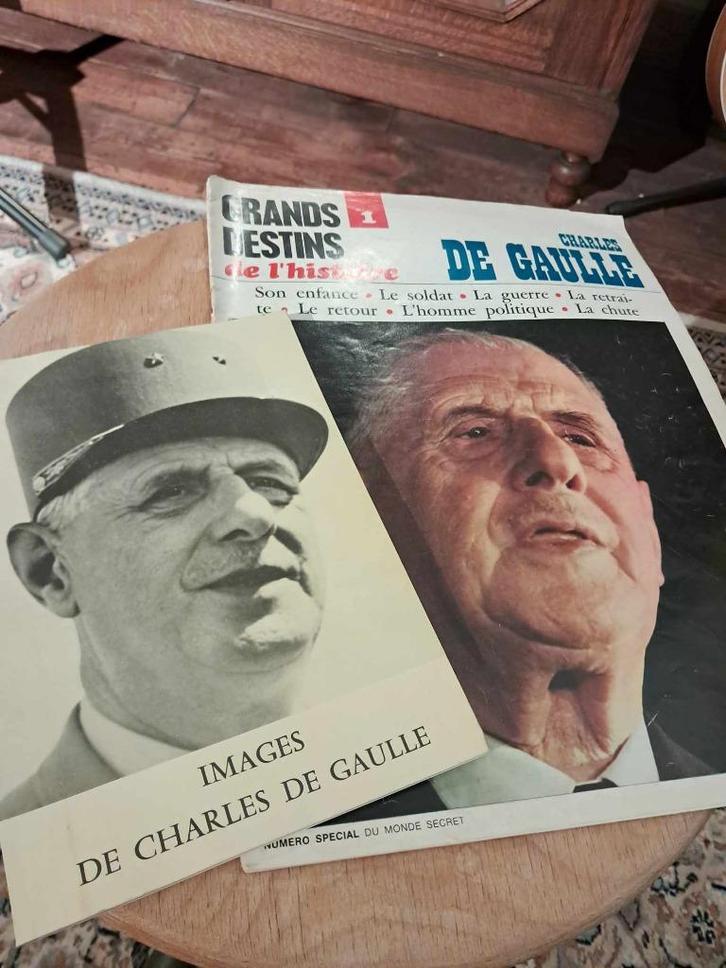 Charles de Gaulle, Boeken, Geschiedenis | Stad en Regio, Gelezen, 20e eeuw of later, Ophalen of Verzenden
