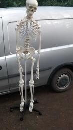 skelet, Ophalen, Zo goed als nieuw