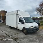 Fiat Ducato, Auto's, Fiat, 4 deurs, Stof, Wit, Particulier
