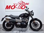 TRIUMPH STREET SCRAMBLER  ***MOTODOC.BE***, Permis Moto A, Entreprise, Plus de 35 kW, 2 cylindres
