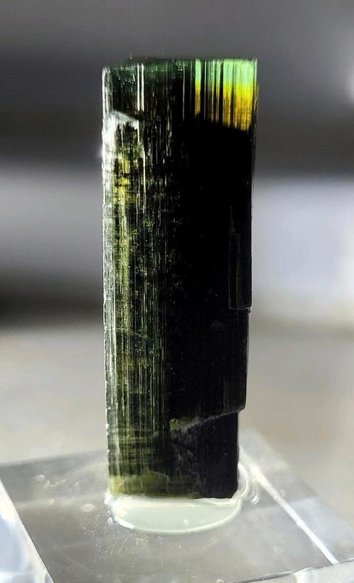 Toermalijn Stak Nala Pakistan (2), Verzamelen, Mineralen en Fossielen, Mineraal, Ophalen of Verzenden