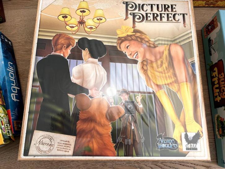 Picture Perfect - ingepakt, Hobby en Vrije tijd, Gezelschapsspellen | Overige, Nieuw, Ophalen of Verzenden