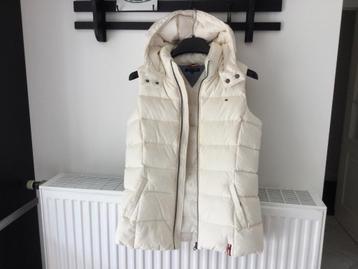 Bodywarmer  beschikbaar voor biedingen