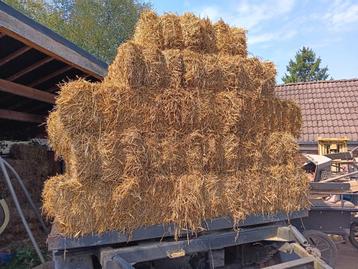 Stro beschikbaar voor biedingen
