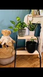 Trapje plantentafeltje Ikea, Ophalen, Zo goed als nieuw