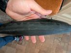 Goodyear buitenband + binnenband, Fietsen en Brommers, Fietsonderdelen, Ophalen of Verzenden, Zo goed als nieuw