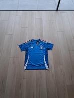 Voetbal shirt Italië, Maat S, Ophalen of Verzenden, Nieuw, Shirt