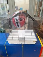 Vogelkooien, Enlèvement