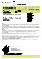 Dag Ticket Rock Werchter Vrijdag 4 Juli 2024, Une personne