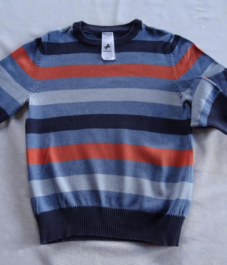 Truien Maat 110, Kinderen en Baby's, Kinderkleding | Maat 110, Zo goed als nieuw, Jongen, Trui of Vest, Ophalen of Verzenden