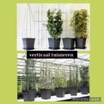 Draadpilaren tuinzuilen voor clematis jasmijn verticale tui, Ophalen of Verzenden, Nieuw