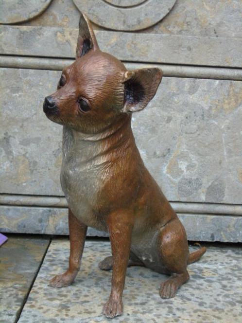 CHIWAWA EN BRONZE , statue animalière d un chien en bronze, Jardin & Terrasse, Statues de jardin, Neuf, Animal, Autres matériaux