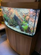 Aquarium Juwel Vision 260, Dieren en Toebehoren, Vissen | Aquaria en Toebehoren, Ophalen, Gevuld zoetwateraquarium