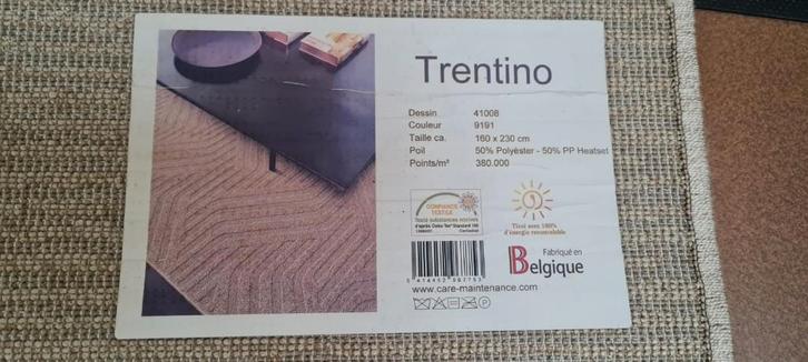 Carpette beige, Maison & Meubles, Ameublement | Tapis & Moquettes, 150 à 200 cm, 200 cm ou plus, Rectangulaire, Beige, Autres couleurs
