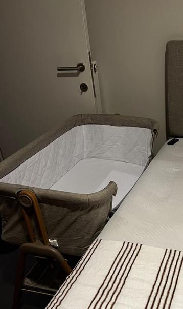 Chipolino cosleeper Sweet Dreams beschikbaar voor biedingen
