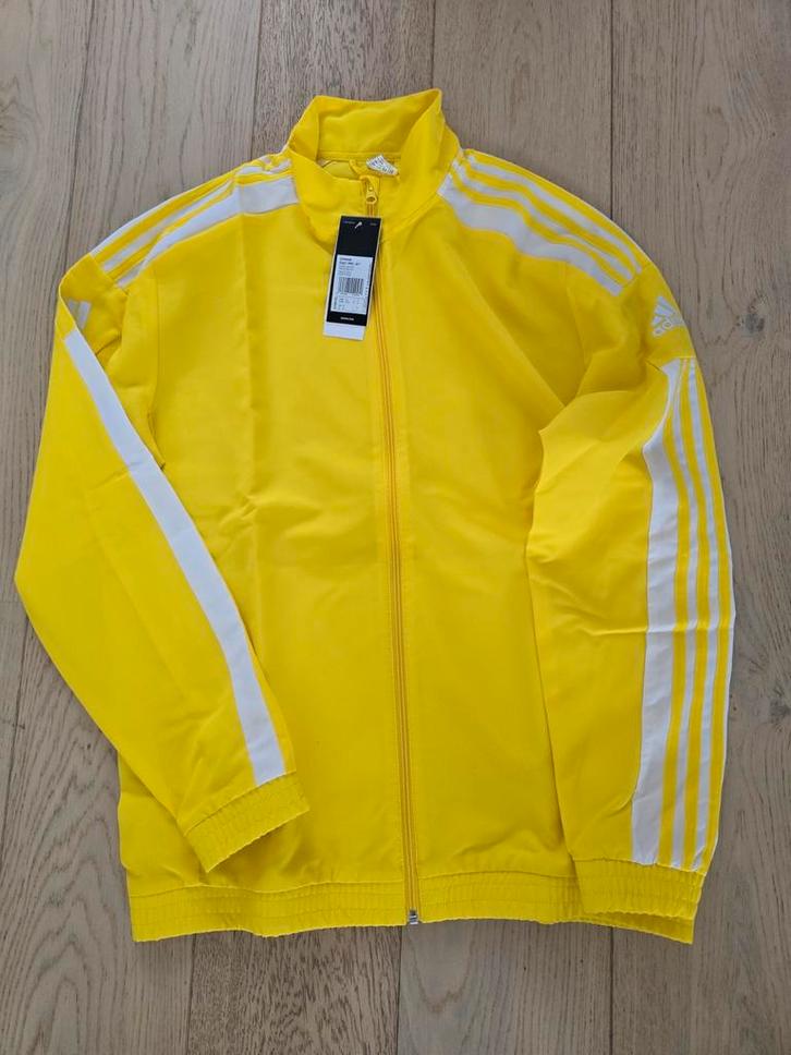 Adidas Squadra 21 trainingsjack M, Kleding | Heren, Sportkleding, Nieuw, Voetbal, Maat 48/50 (M), Geel, Verzenden
