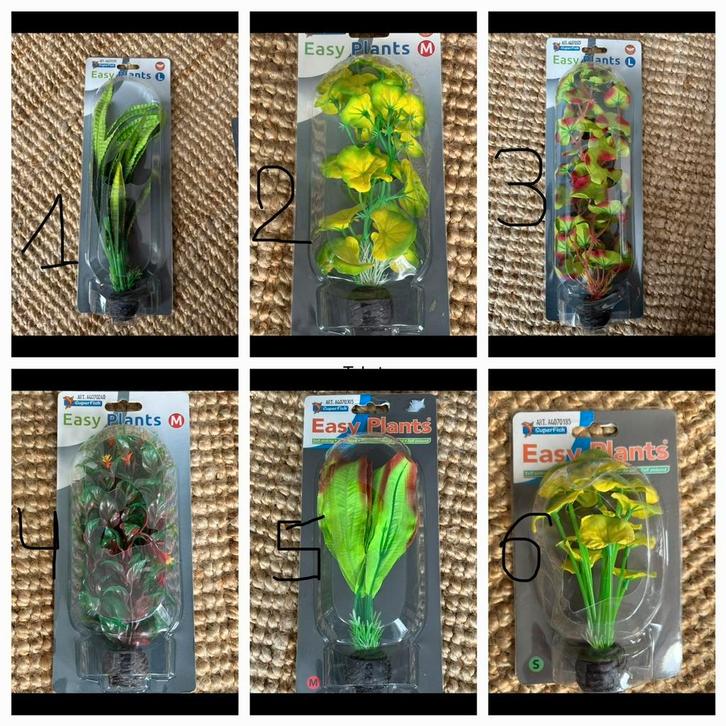 Superfish Easy plants NIEUW, Dieren en Toebehoren, Vissen | Aquaria en Toebehoren, Nieuw, Plant(en), Steen of Hout, Ophalen of Verzenden