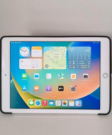  iPad van 256 GB beschikbaar voor biedingen