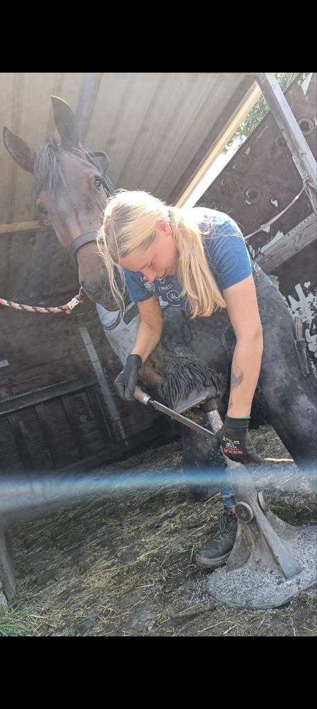 Gediplomeerd Hoefsmid/bekapper, Vacatures, Profielen | Man/Vrouw zoekt werk