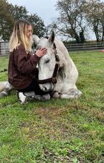 TRAINING plek aangeboden, Dieren en Toebehoren, Zadelmak