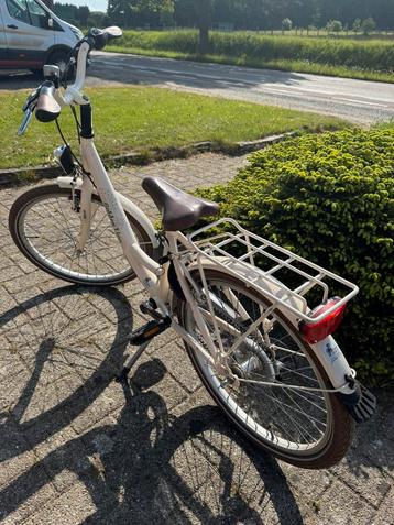 Kinderfiets 20 inch golden lion beschikbaar voor biedingen