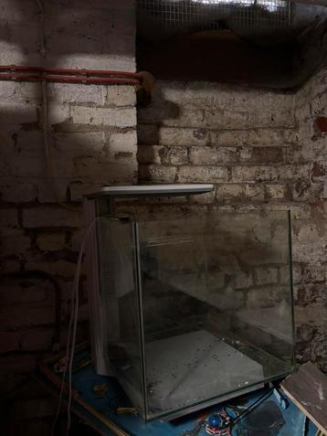 kleine aquarium beschikbaar voor biedingen