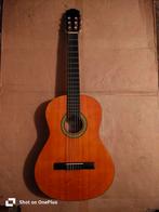 Gitaar, Muziek en Instrumenten, Ophalen