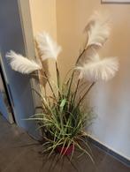 pampa artificielle neuf, Enlèvement