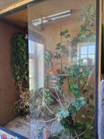 terrarium, Ophalen, Gebruikt, Verlichting