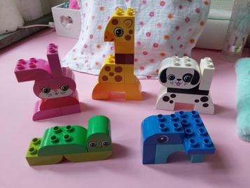 Duplo creatieve dieren nr.10573