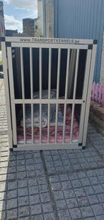 Cage de transport pour chiens, Animaux & Accessoires, Enlèvement, Comme neuf