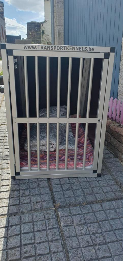 Cage de transport pour chiens, Animaux & Accessoires, Boîtes de transport, Comme neuf, Enlèvement